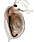 Aucun message non lu